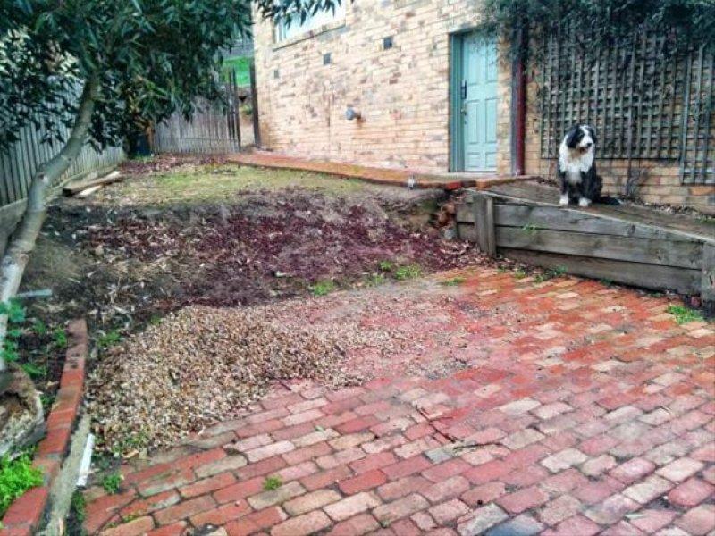 Genç adam evinin bahçesine sinema sistemi kurdu