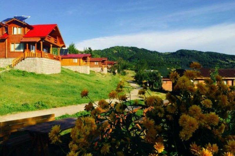 Türkiye'deki AVM sayısı belirlendi