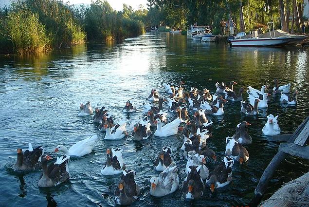 Muğla'nın küçük cenneti: Akyaka