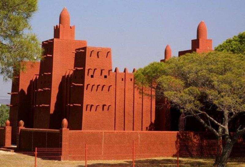 Mali'nin sembolü yok olma tehlikesiyle karşı karşıya