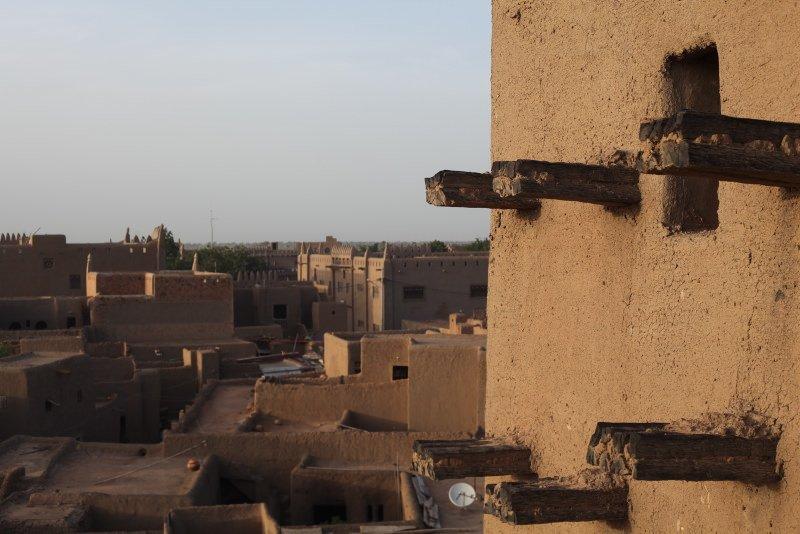 Mali'nin sembolü yok olma tehlikesiyle karşı karşıya