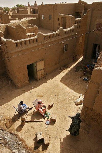 Mali'nin sembolü yok olma tehlikesiyle karşı karşıya