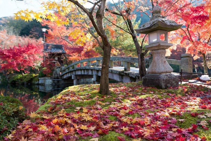 Japon kültürünü ruhu: Kansai