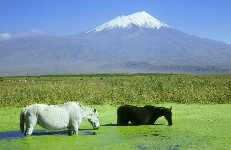 Doğunun incisi Ağrı