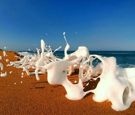 Muhteşem dalga fotoğrafları 