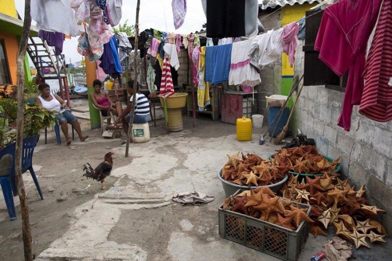 Dünyanın en kalabalık adası: Santa Cruz del Islote