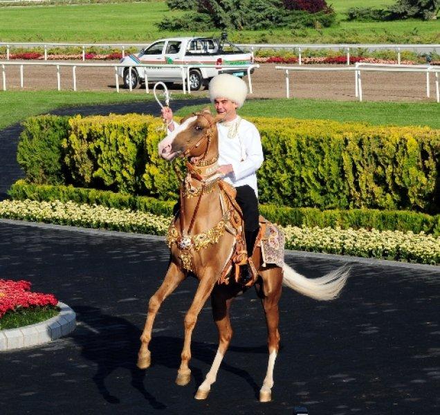 Dünyanın en güzel at cinsi: Ahal Teke