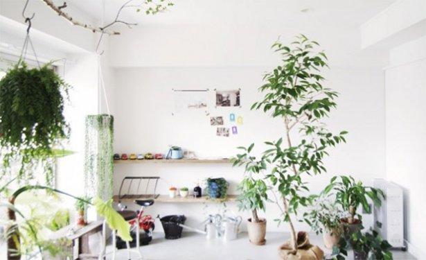 Az eşya ile dekora edilmiş Japon evleri