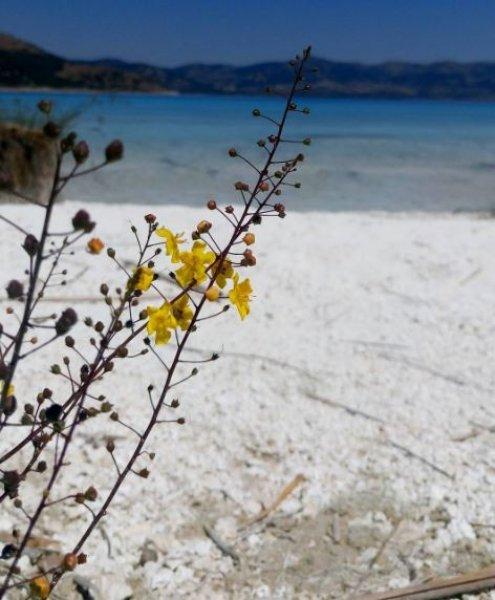 Türkiye'nin Maldivleri: Salda Gölü