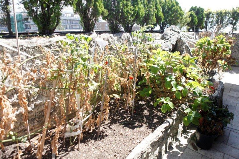 FETÖ'nün İstanbul'daki ana üssü