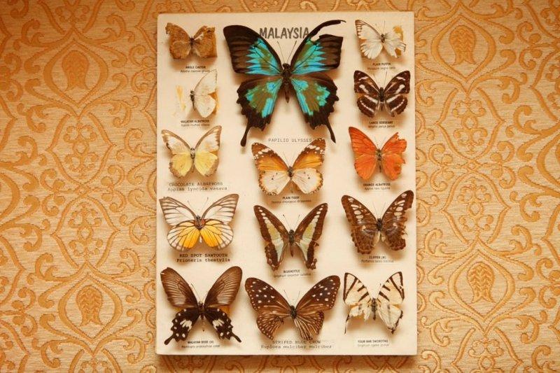 FETÖ'nün İstanbul'daki ana üssü