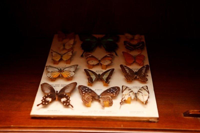 FETÖ'nün İstanbul'daki ana üssü