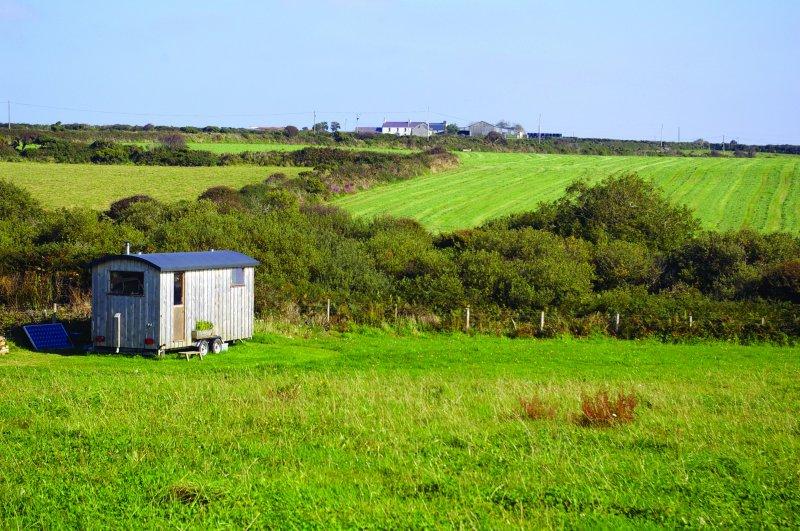 Geri dönüşüm malzemeleriyle inşa edilen muhteşem evler