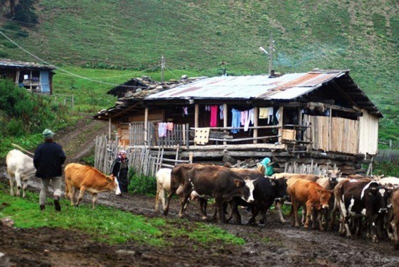 Karçal Dağları'nın en güzel noktası: Artvin