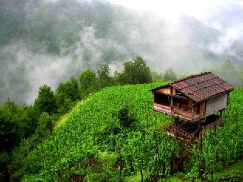 Karçal Dağları'nın en güzel noktası: Artvin