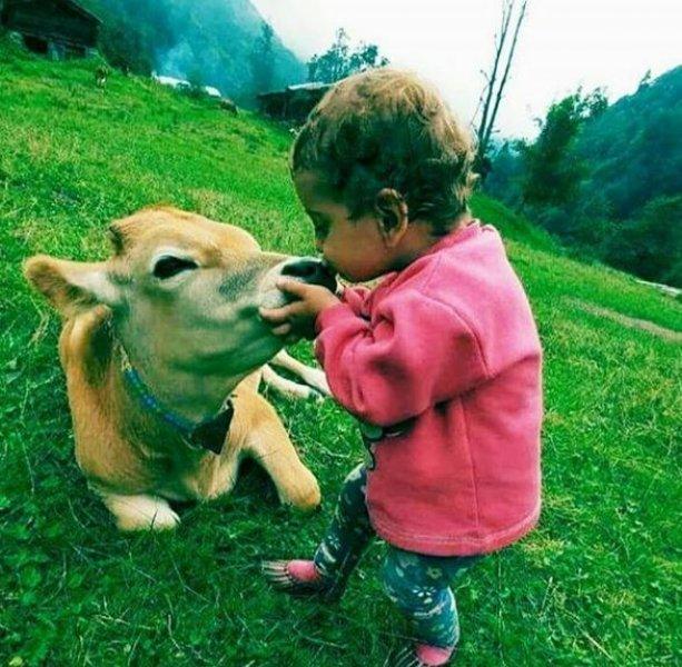 Karçal Dağları'nın en güzel noktası: Artvin