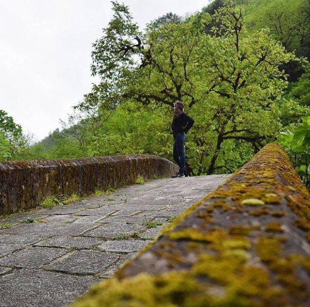 Karçal Dağları'nın en güzel noktası: Artvin