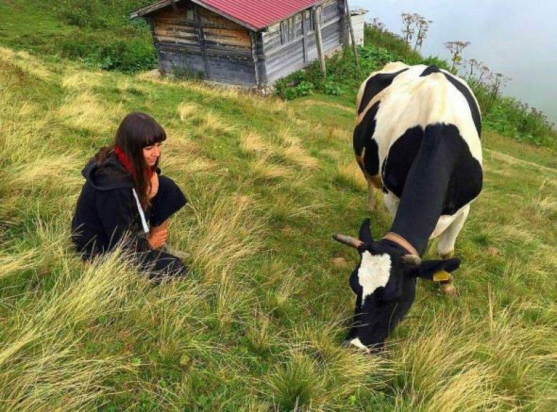 Karçal Dağları'nın en güzel noktası: Artvin