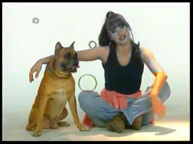 90'ların tek şarkılık ünlüleri 