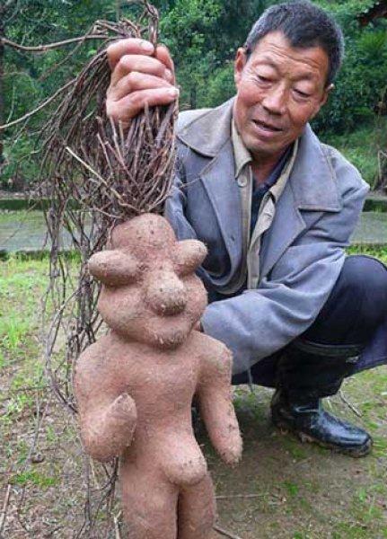 Nadir görülen ilginç bitkiler