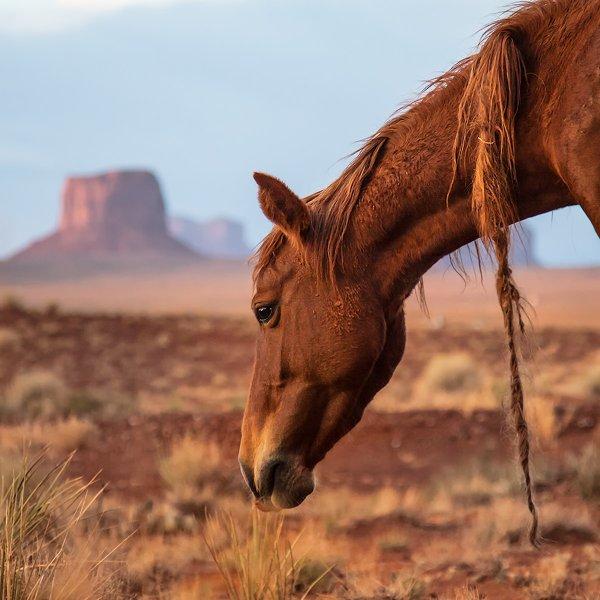 Utah'taki Anıt Vadisi büyülüyor