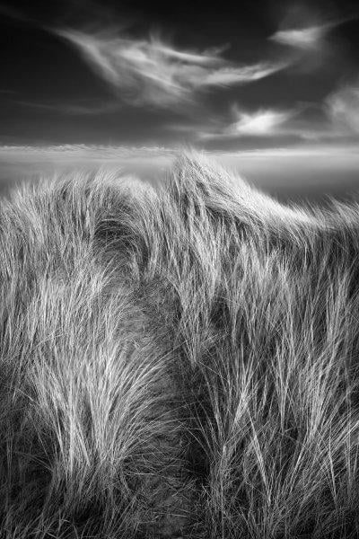 2016'nın ödüllü doğa fotoları