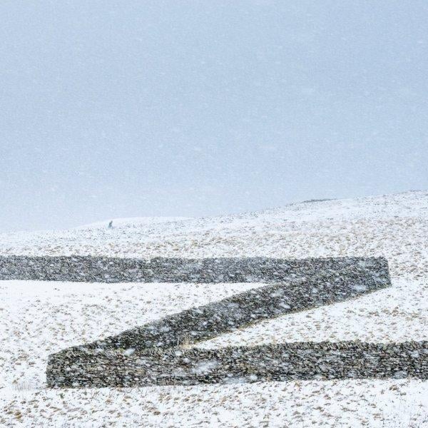 2016'nın ödüllü doğa fotoları