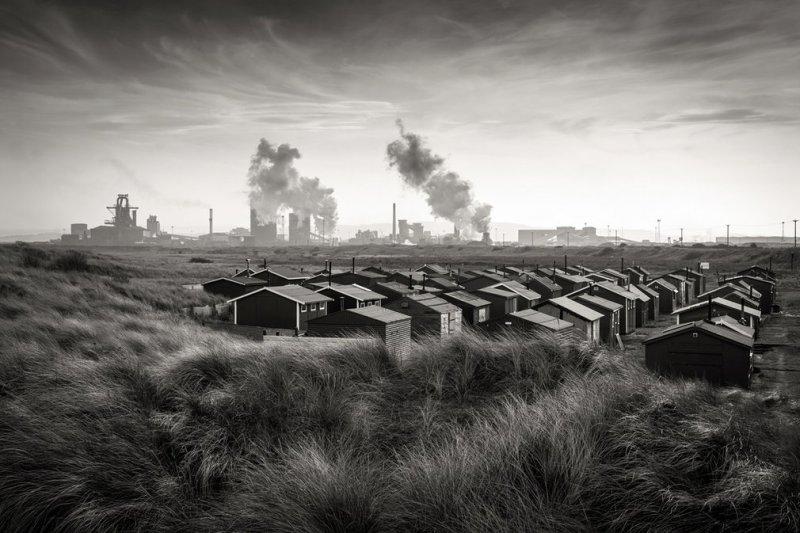 2016'nın ödüllü doğa fotoları