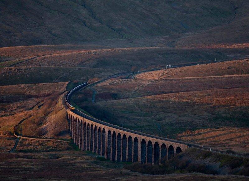 2016'nın ödüllü doğa fotoları