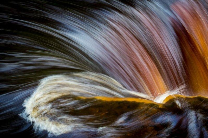 2016'nın ödüllü doğa fotoları