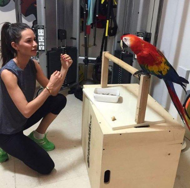 Yasemin Özilhan'ın Instagram paylaşımları