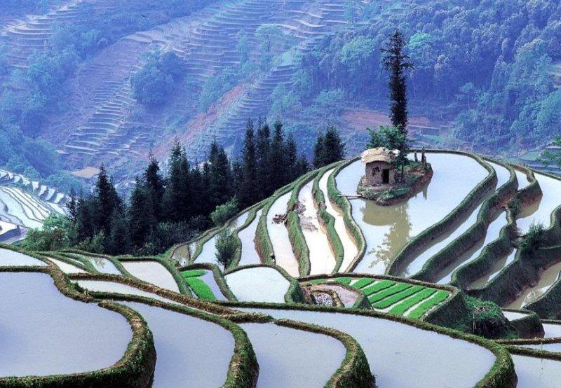 Güney Kore'nin başkenti Seul'ün bilinmeyenleri 