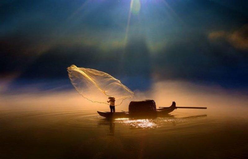 2016 yılının en iyi fotoğrafları