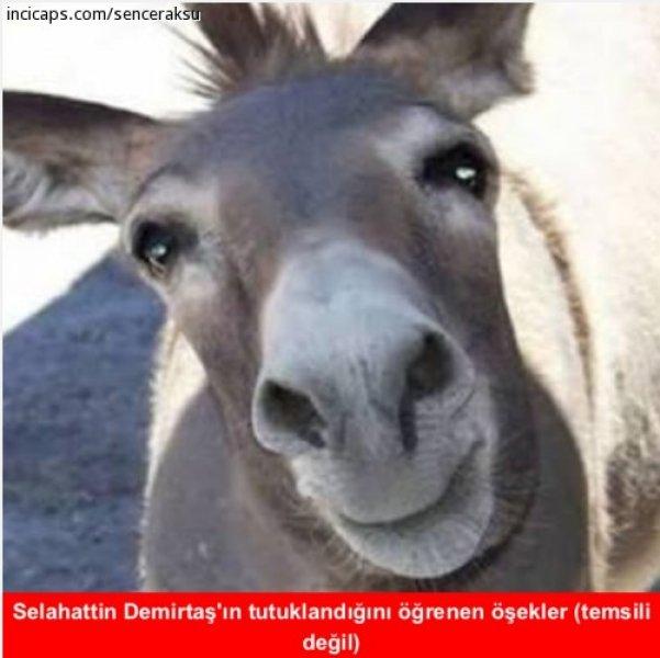 HDP'li Milletvekillerinin gözaltına alınmaları caps oldu