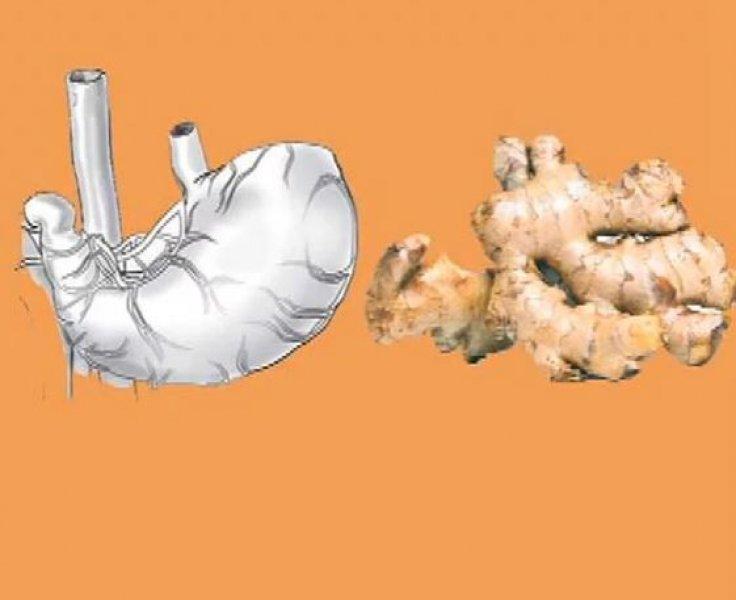 Meyve ve sebzelerin benzediği organlar 