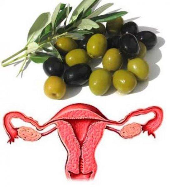 Meyve ve sebzelerin benzediği organlar 