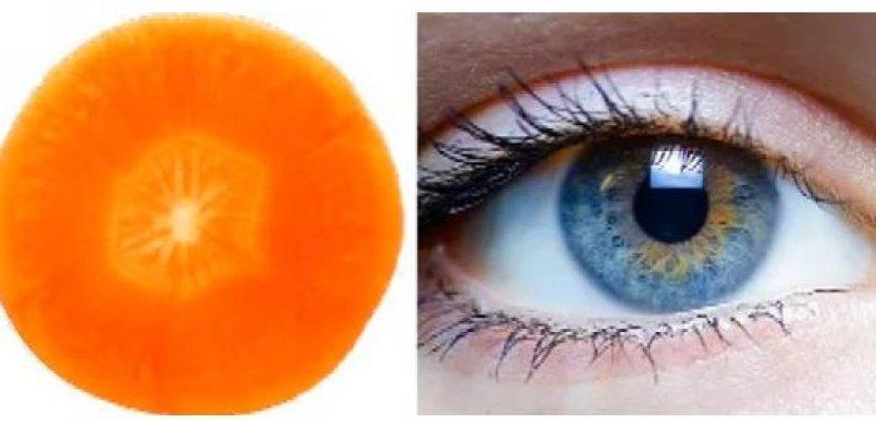 Meyve ve sebzelerin benzediği organlar 