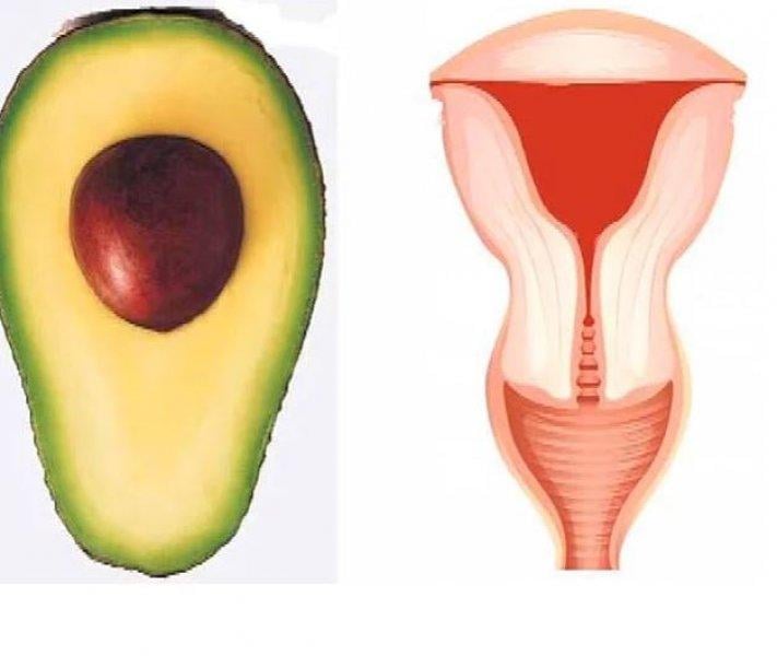 Meyve ve sebzelerin benzediği organlar 