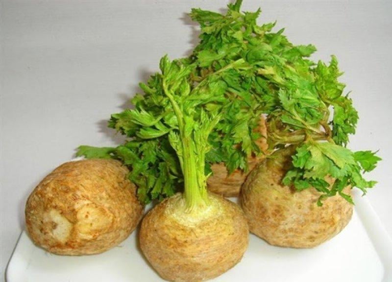 Meyve ve sebzelerin benzediği organlar 