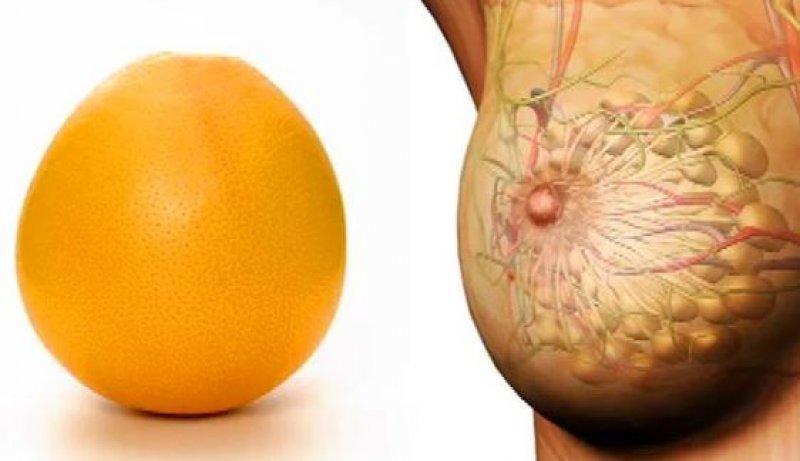 Meyve ve sebzelerin benzediği organlar 