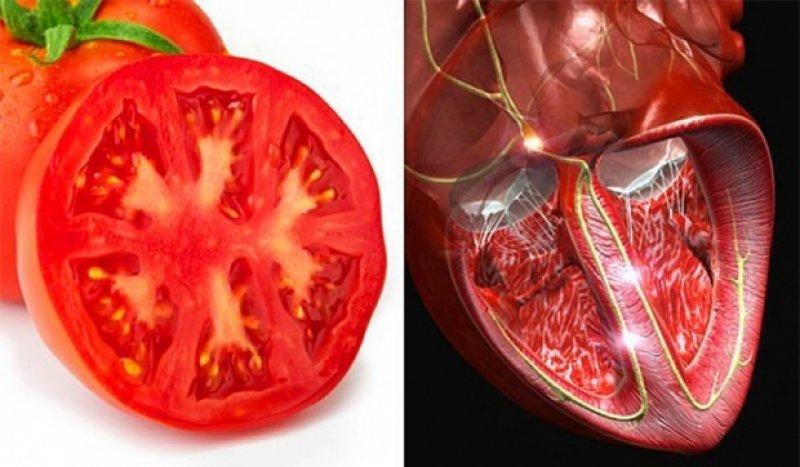 Meyve ve sebzelerin benzediği organlar 
