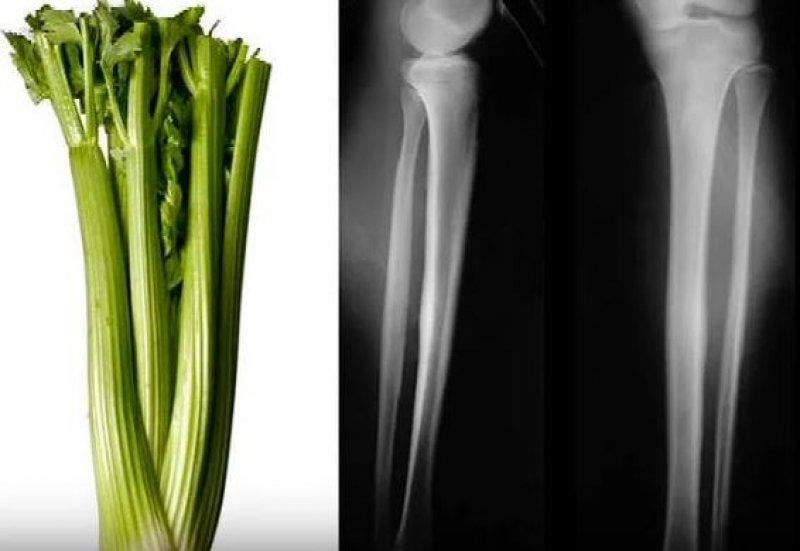 Meyve ve sebzelerin benzediği organlar 