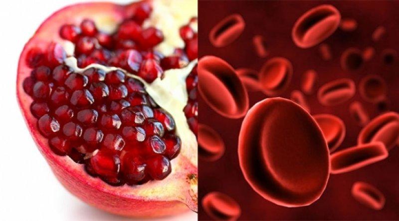 Meyve ve sebzelerin benzediği organlar 