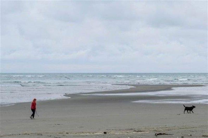 Yeni Zelanda'da deprem sonrası