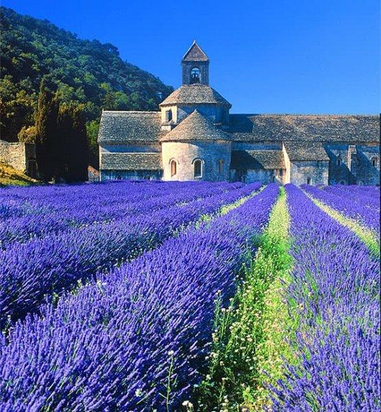 Avrupa'nın gözde şehri Provence