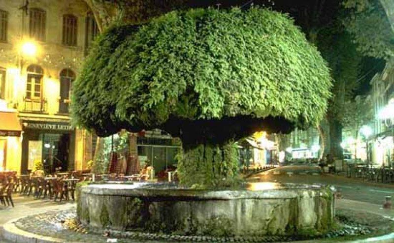 Avrupa'nın gözde şehri Provence