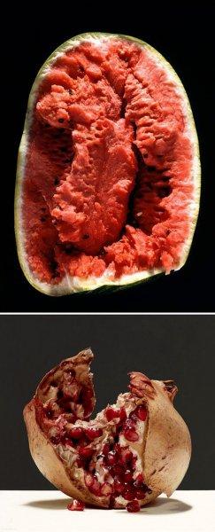 Fotoğraf zannedilen gerçekçi resimler