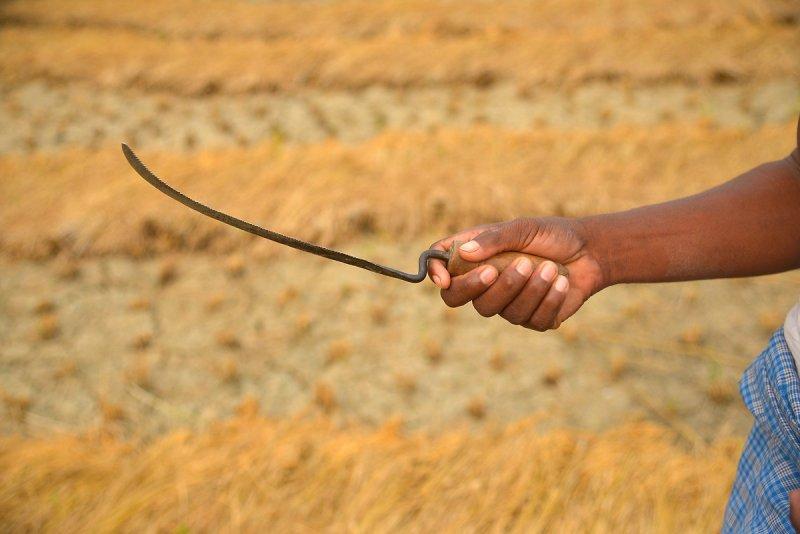 Hindistanlı Choudhary sülalesinin tamamı 6 parmaklı 