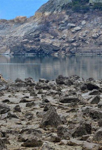 Atikhisar Barajı'nı midyeler istila etti
