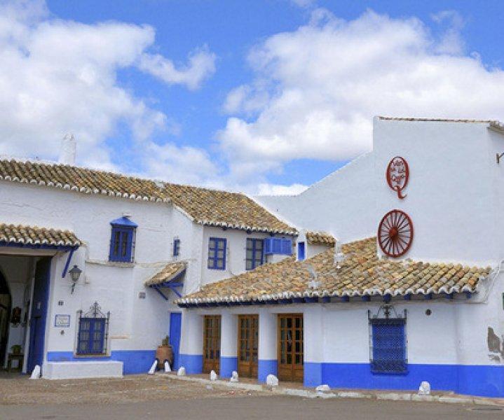 Don Kişot’un yel değirmenleri